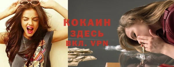 твердый Бородино