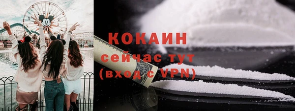 твердый Бородино