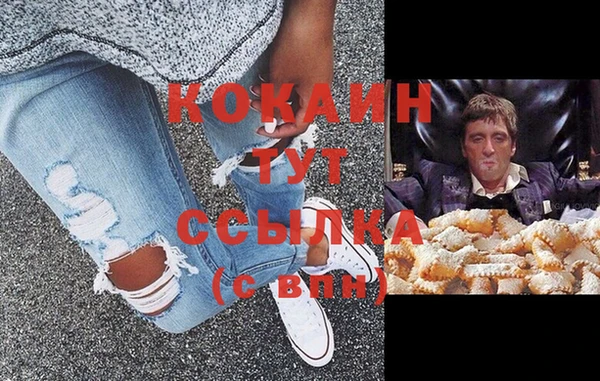 твердый Бородино