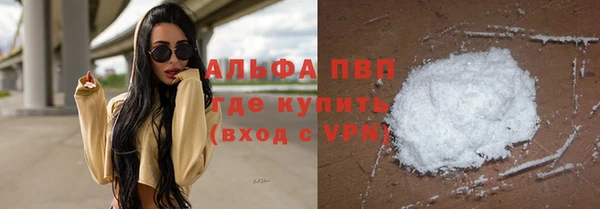 прущие грибы Бугульма