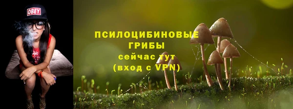 твердый Бородино