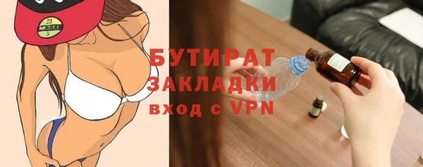 твердый Бородино
