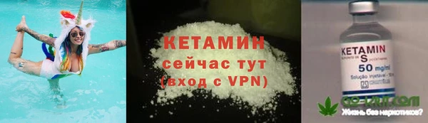 твердый Бородино