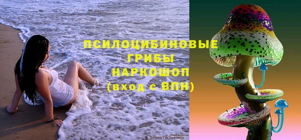 твердый Бородино