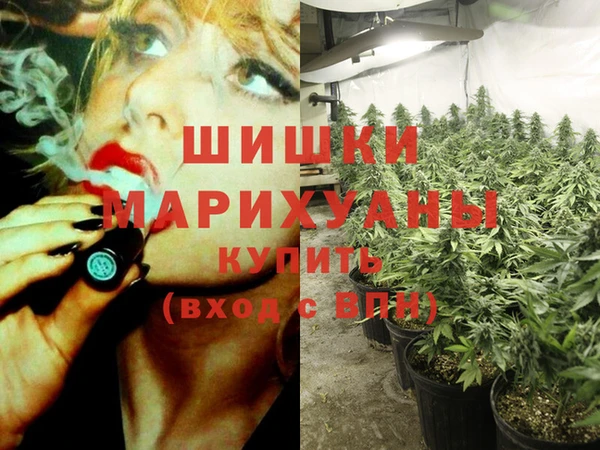 сатива Бронницы