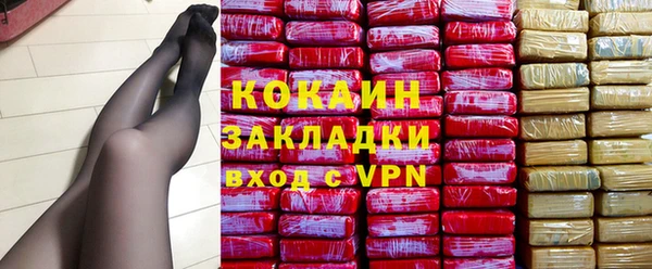 сатива Бронницы