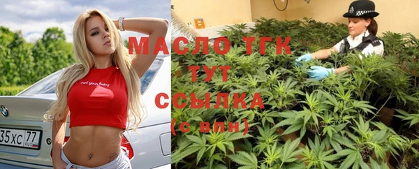 твердый Бородино