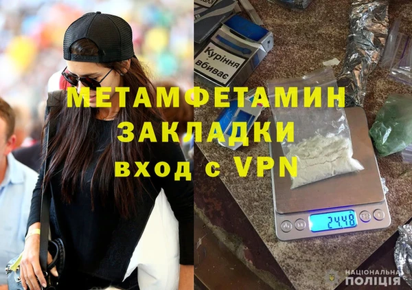 прущие грибы Бугульма