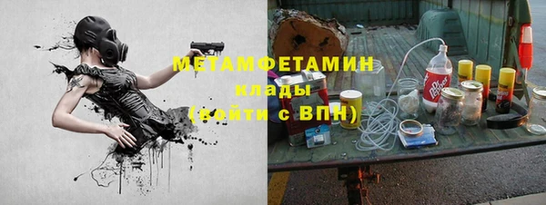 прущие грибы Бугульма