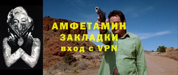 твердый Бородино