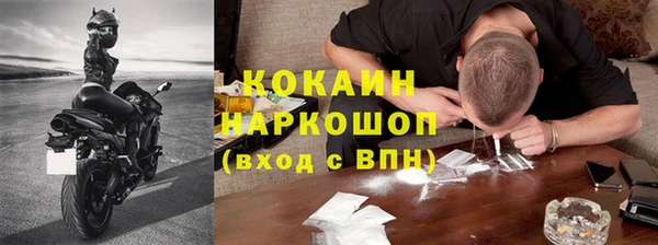 твердый Бородино