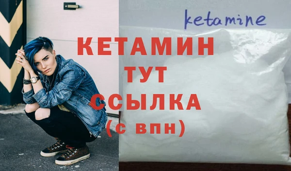 сатива Бронницы