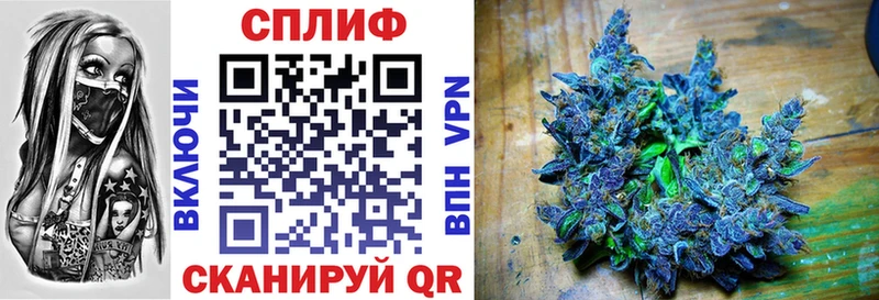 Купить где  Салаир  Шишки марихуана VHQ 